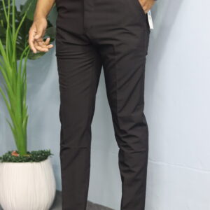 Formal pant